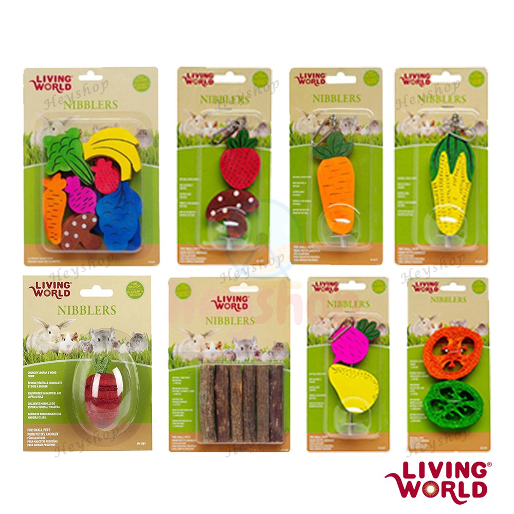 LIVING WORLD® Nibble Wood Stick Fruit Veggie Kiwi Teeth Grind Dental ...