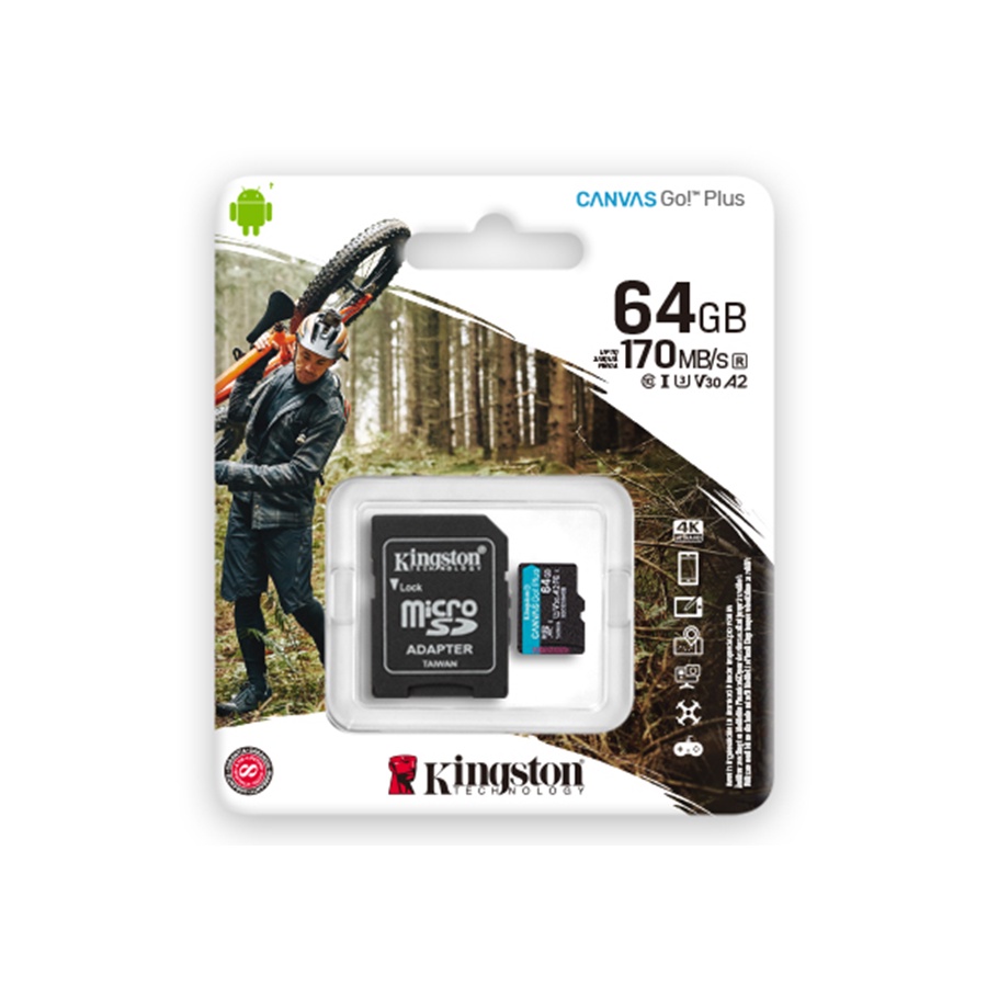 Kingston SDCG3 64GB 128GB 256GB Canvas Go Plus MicroSD Card 4K ...