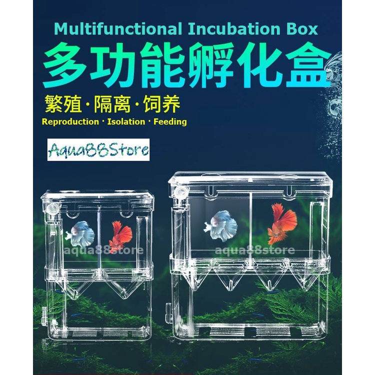 Yee Breeding Hatching Box Fish Incubation Isolation Single/Double Room ...