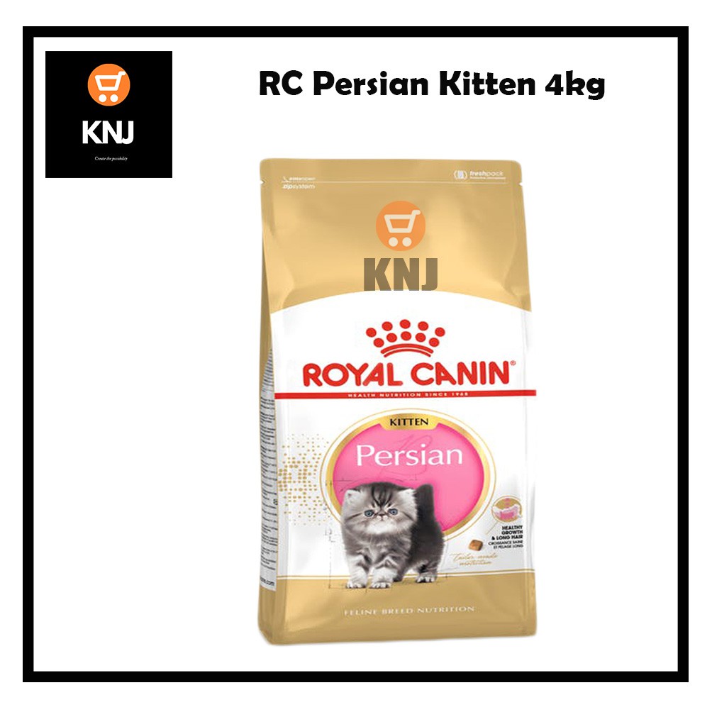 Royal canin best sale persian kitten 4kg