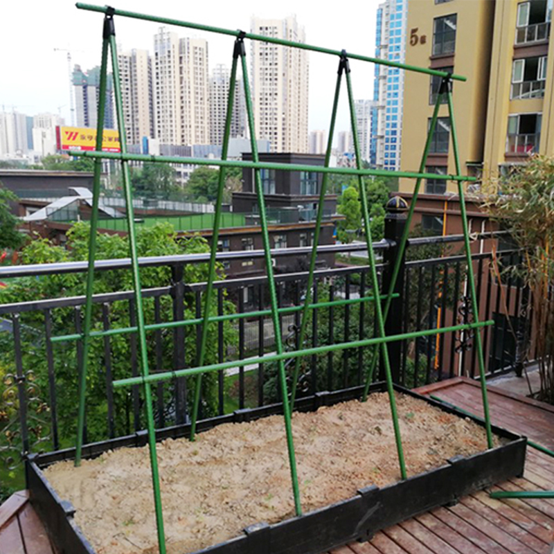Garden Plant Support Stick Climbing Plants Trellis Bean Grape Rack ...