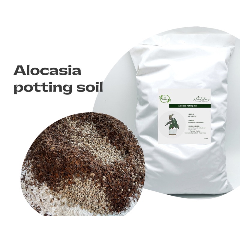 4 liter 🌱Alocasia potting mix🌱Caladium soil 🌱Aglaonema soil🌱tanaman