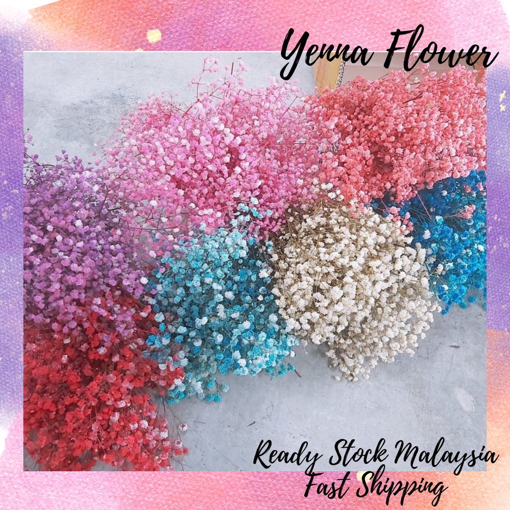 Harga Borong old stock💗50g Preserved Flower Baby Breath Gypsophila