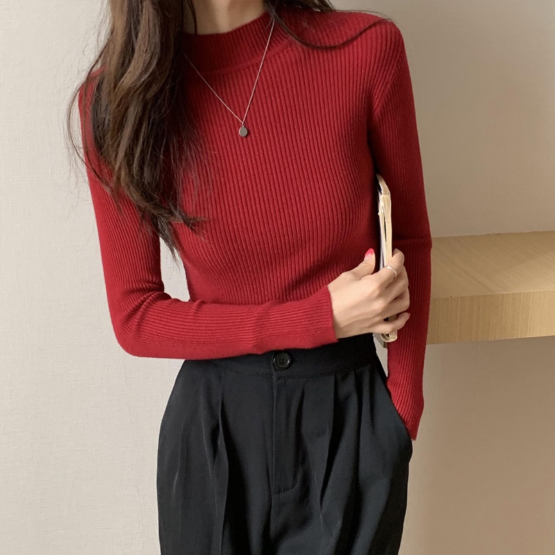 Women Long Sleeve Knit Turtle Neck Autumn Winter Slim Fit Knitted Top ...