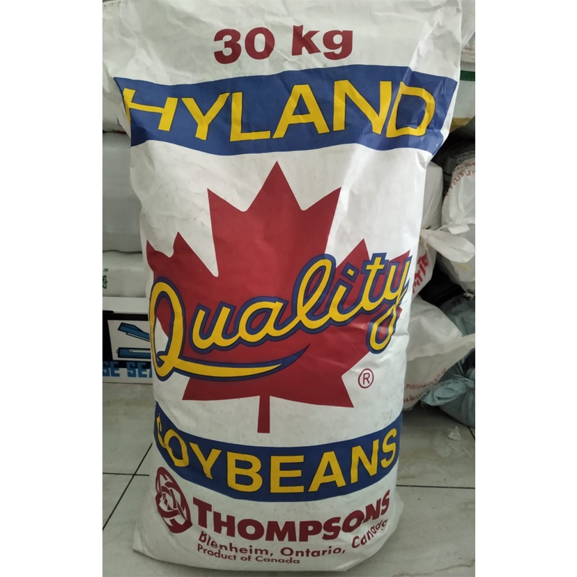 (BORONG $ ) CANADA SOYA BEAN THOMPSON (RED LEAF) NON-GMO 加拿大黄豆 BEST ...
