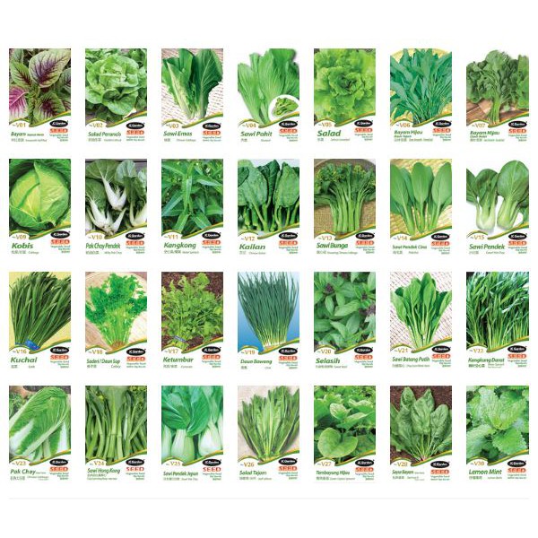 Ready stock Varieties of garden vegetable seed / biji benih sayur ...