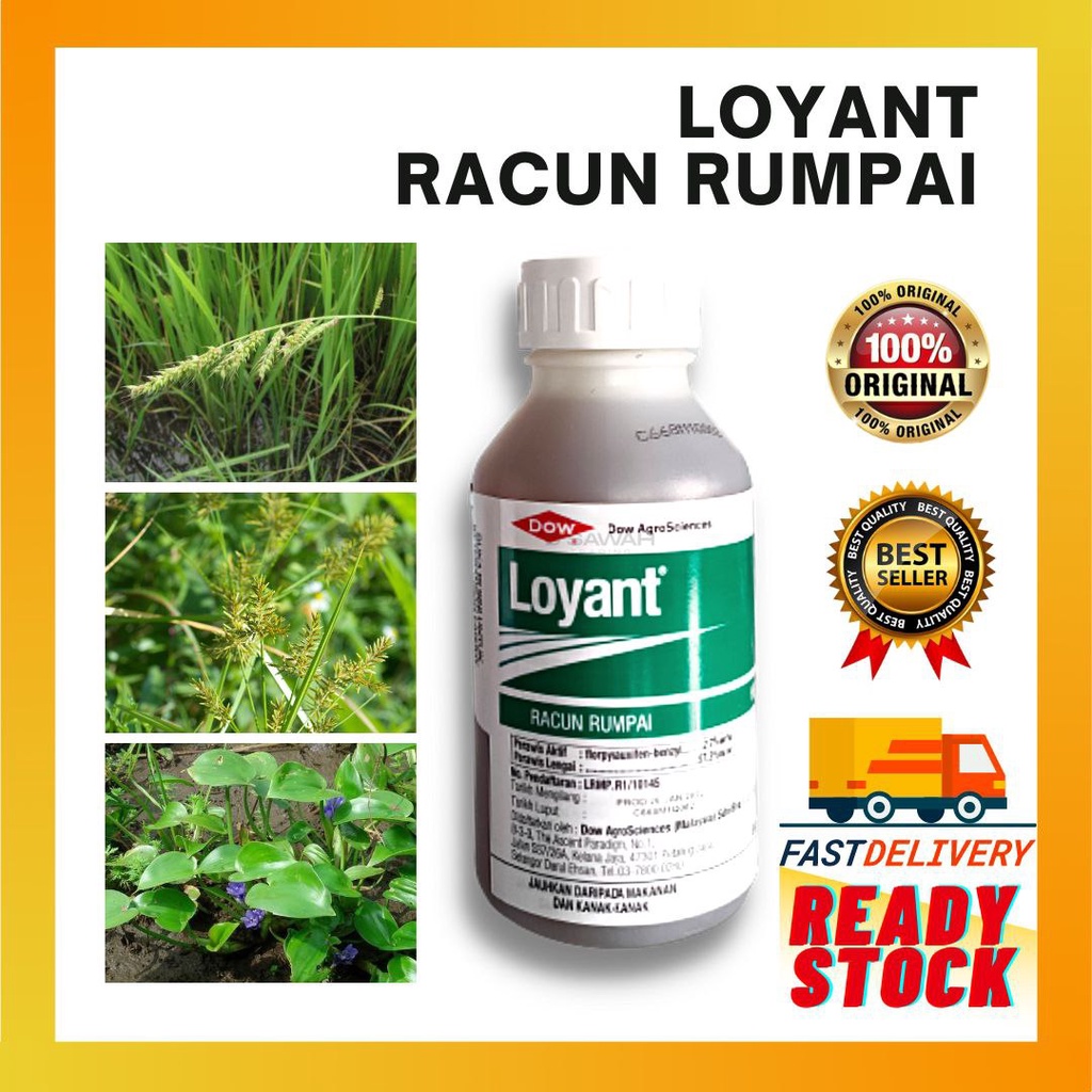 Racun Loyant 500ml Racun Rumpai Padi Burung Cabai Kera Keladi Agas