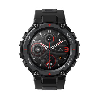 Amazfit t 2024 rex blood pressure