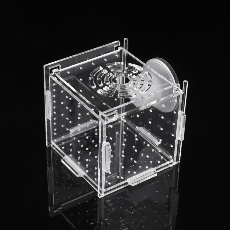 wowの Aquarium Fish Breeding Isolation Box Baby Fish Incubator Hatch ...