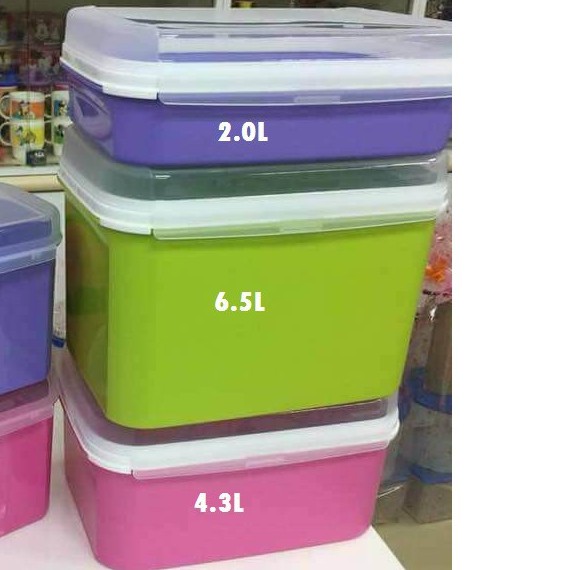 Tupperware Ezy Rectangular Keeper 2L/4.3L/6.5L LEVEL | Shopee Malaysia