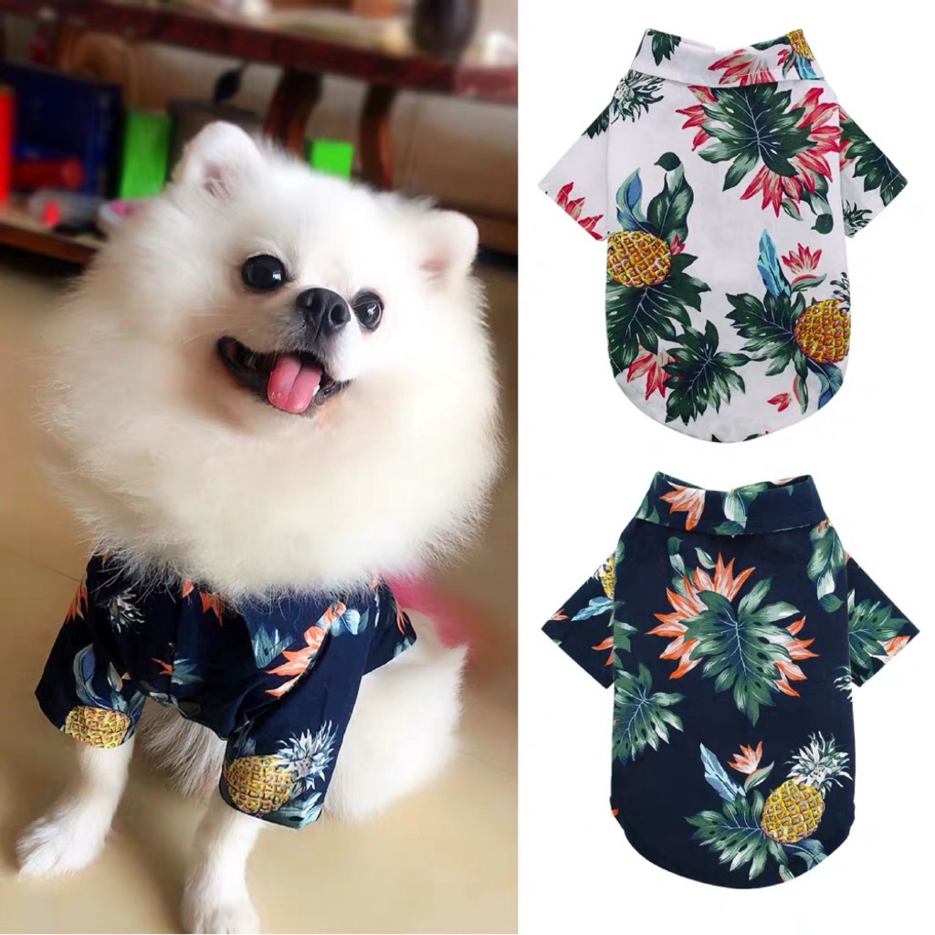 Dog 2024 clothes shopee