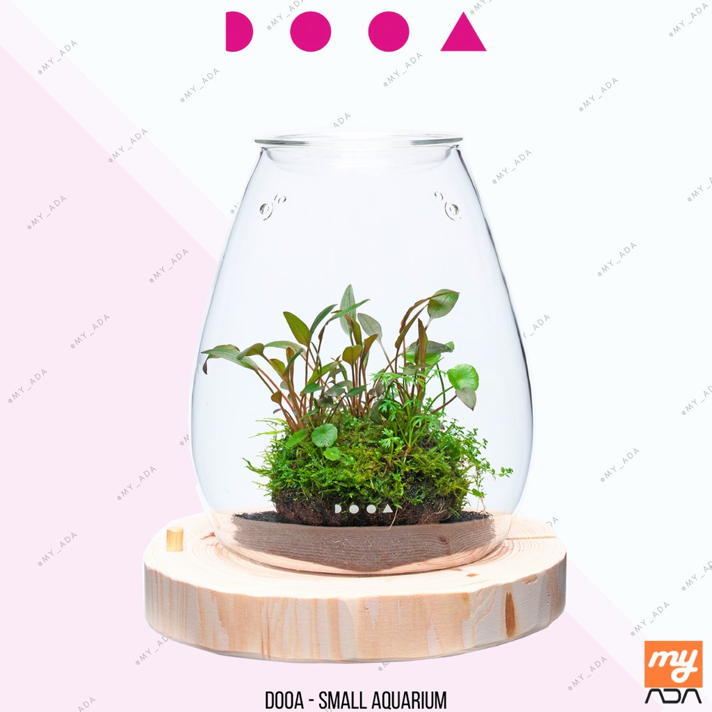 DOOA Glass Pot Shizuku ADA Glass Pot Aqua Design Amano | Shopee