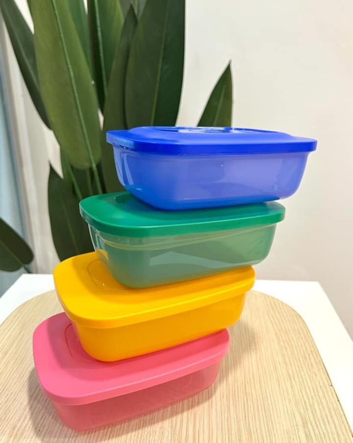 10 warna: Tupperware 500ml Small Rectangular Saver Lunch Box for Kid ...