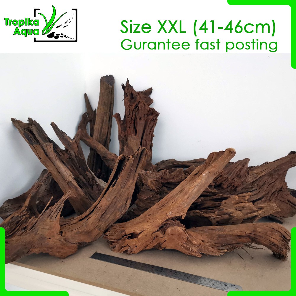 Driftwood (XXL 4146cm) Malaysia for Aquarium Fish Tank Aquascape Shopee Malaysia
