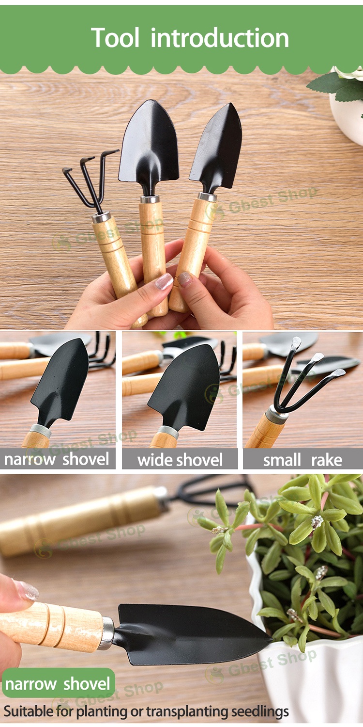 3Pcs Mini Garden Plant Tools household gardening flowers succulents ...