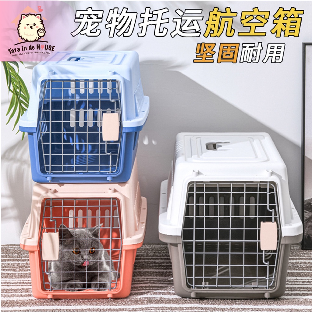 Anjing Cat Pet Store Near Me Anjing Air Animals Pet Movers