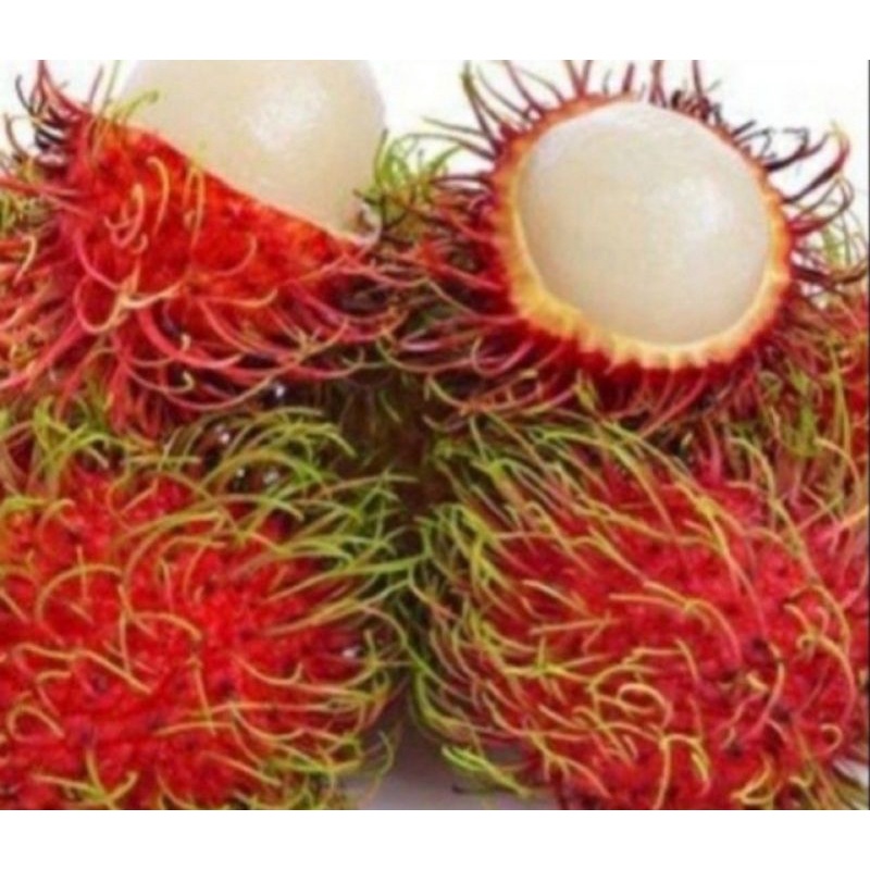buah rambutan 1kg rambutan kg | Shopee Malaysia