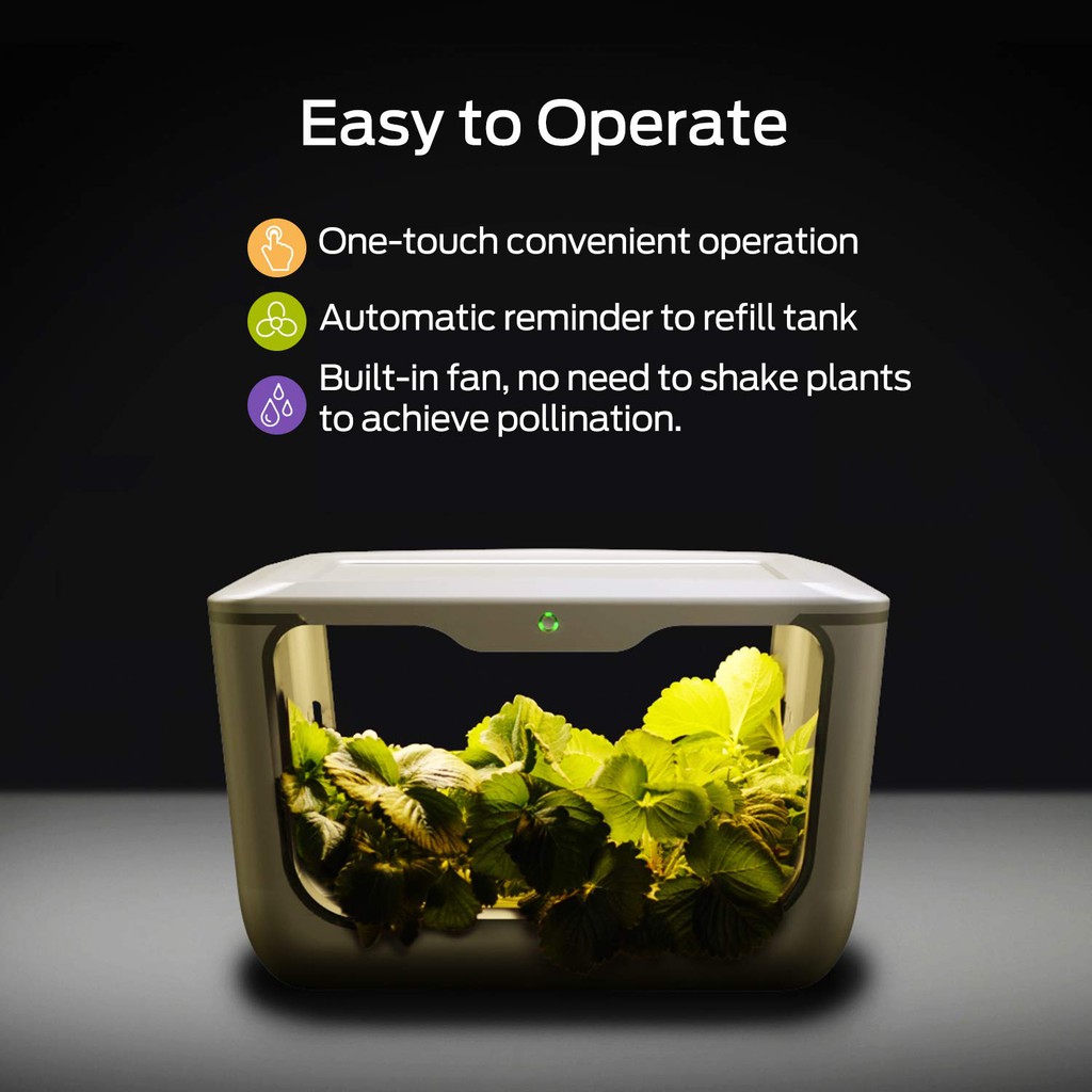 4D BIOS Indoor Grow Box GreenJoy (Stack-able Grow Box, Auto Nutrient ...