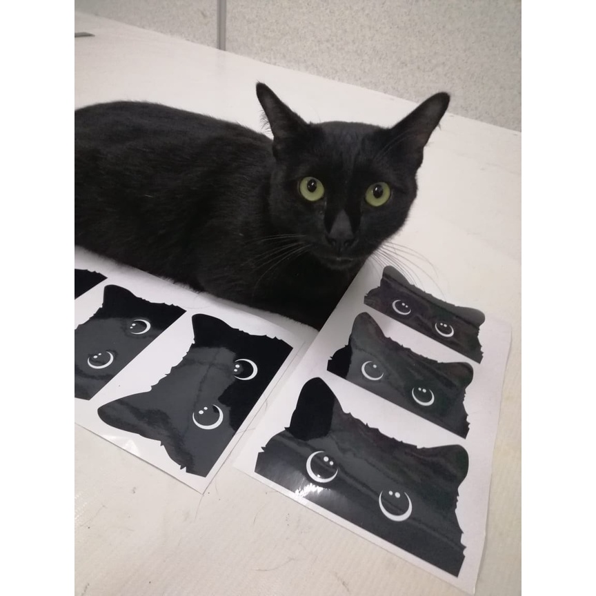 STICKER KUCING HITAM PEEKING BLACK CAT 3pcs per set car + laptop ...