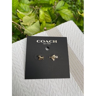 Coach clearance earrings price