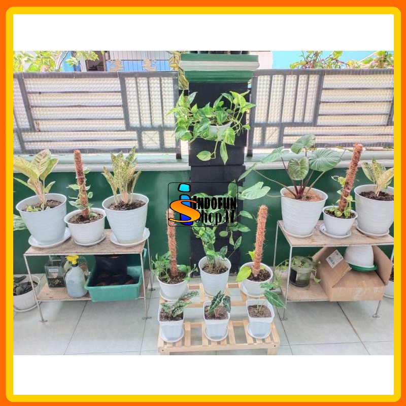 KAYU Flower Pot Rack Straight model Pot Placemat Standing Pot Rack ...