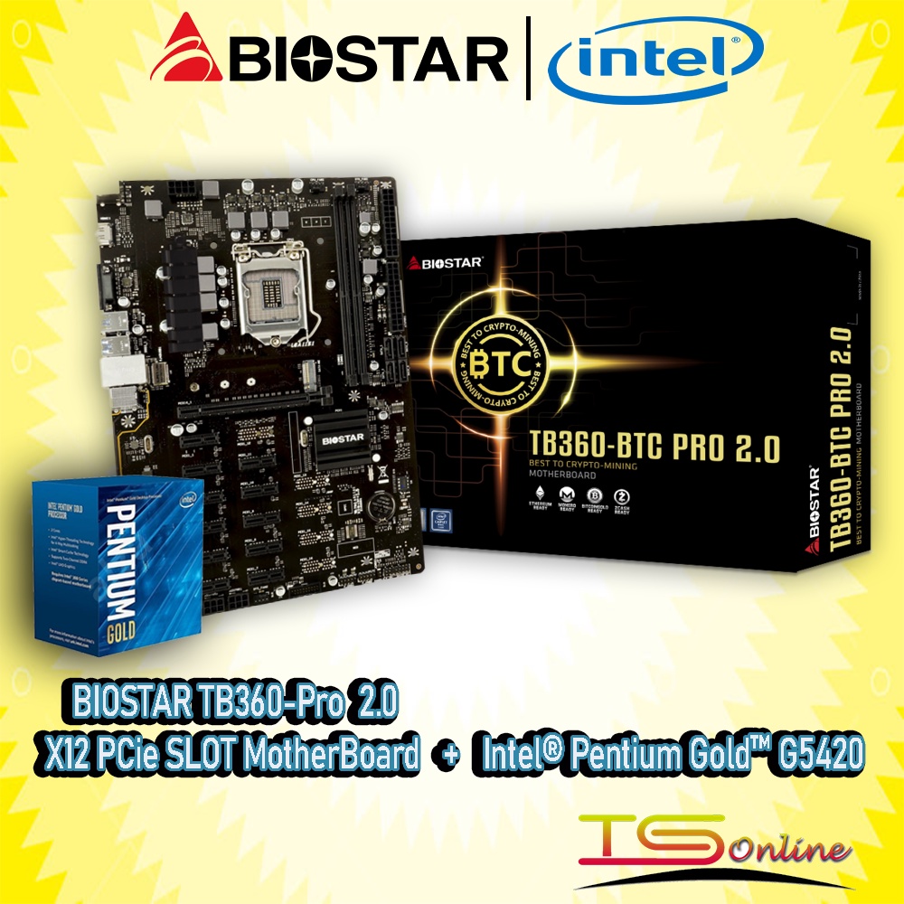 Carte Mère Farming Chia Cryptomonnaie Carte Mère Biostar TZ590-BTC Duo -  Intel Z590 LGA1200 - Support 9 GPU - Pour Mining Crypto Et Chia Lga 1200