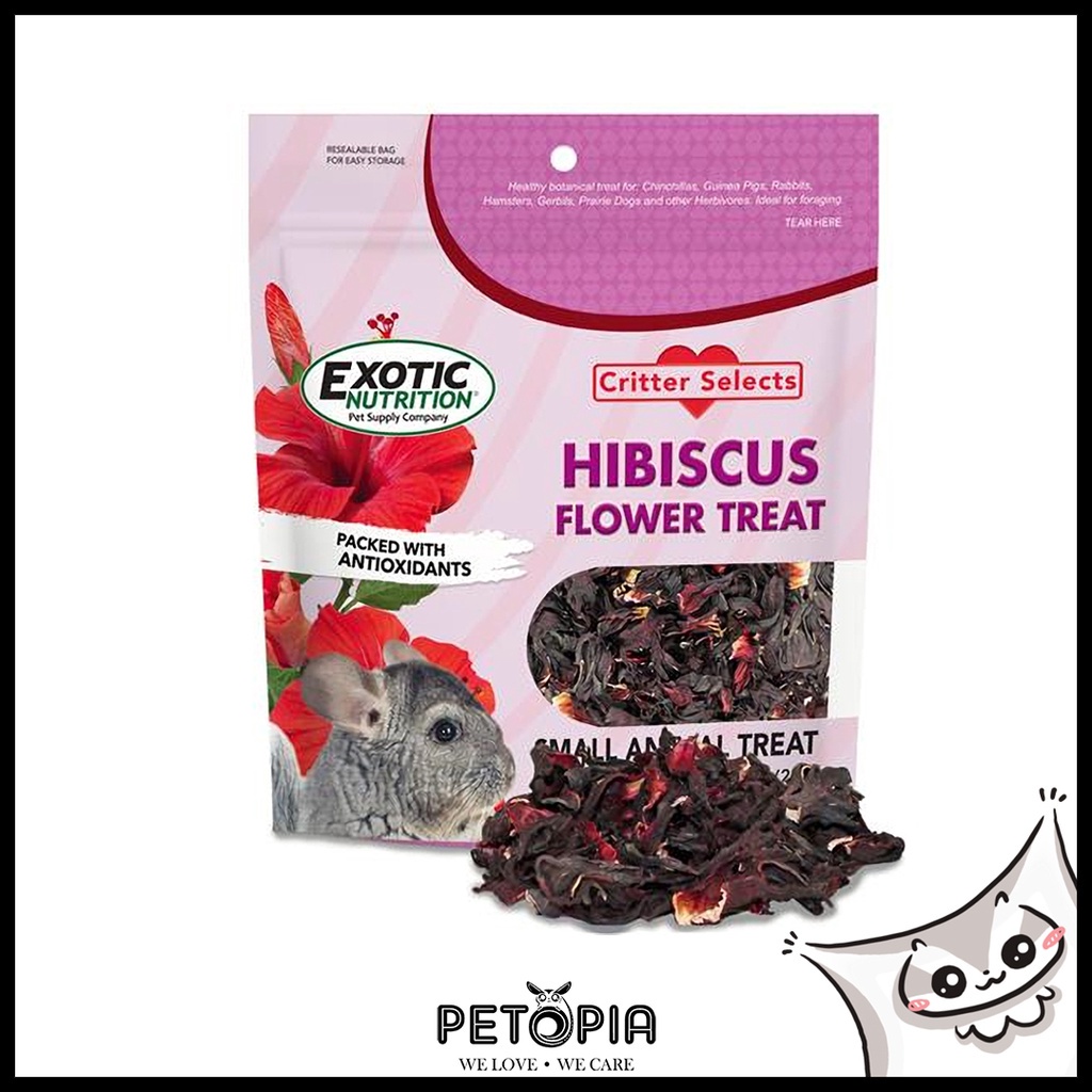 Exotic Nutrition Critter Selects Hibiscus flowers Treat [28g] | PETOPIA ... - Exotic Guinea Pig Treats