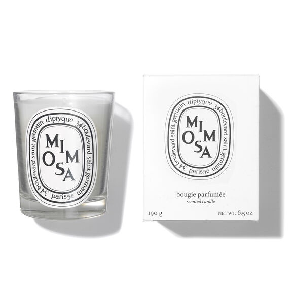 Diptyque Mimosa Bougie Parfumee Scented Candle 190G Shopee Malaysia