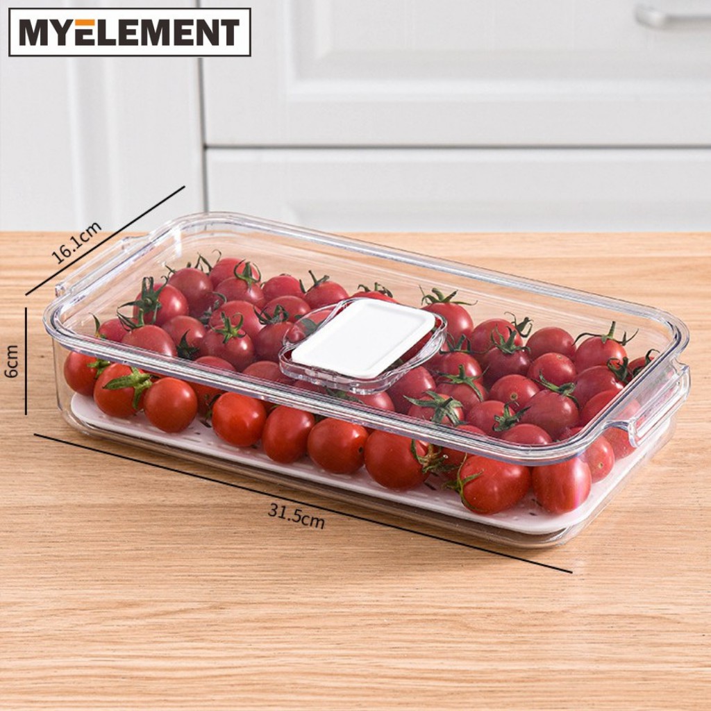 Mini Refrigerator Portable Cooler Compact Refrigerator 220V for Car Truck  Kitchen Home Use Picnic Camping Silent