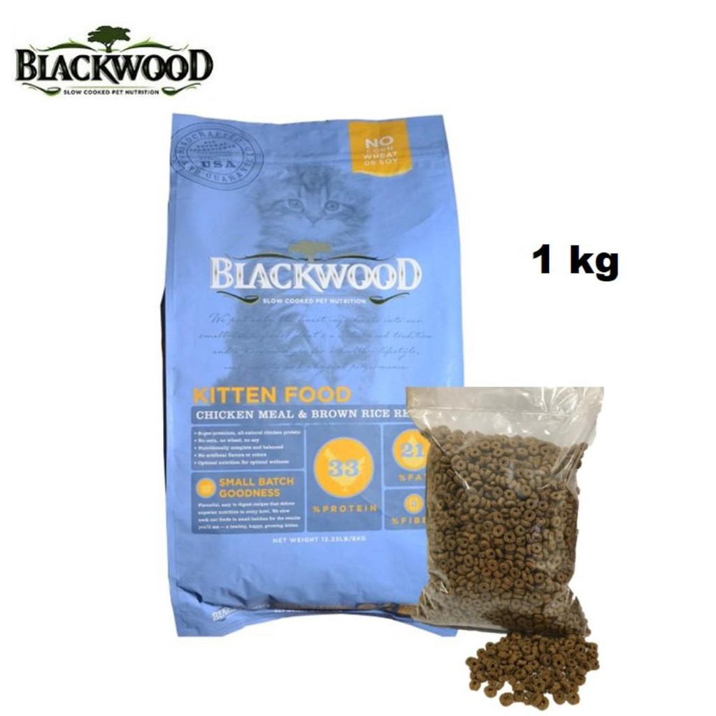 Blackwood kitten clearance