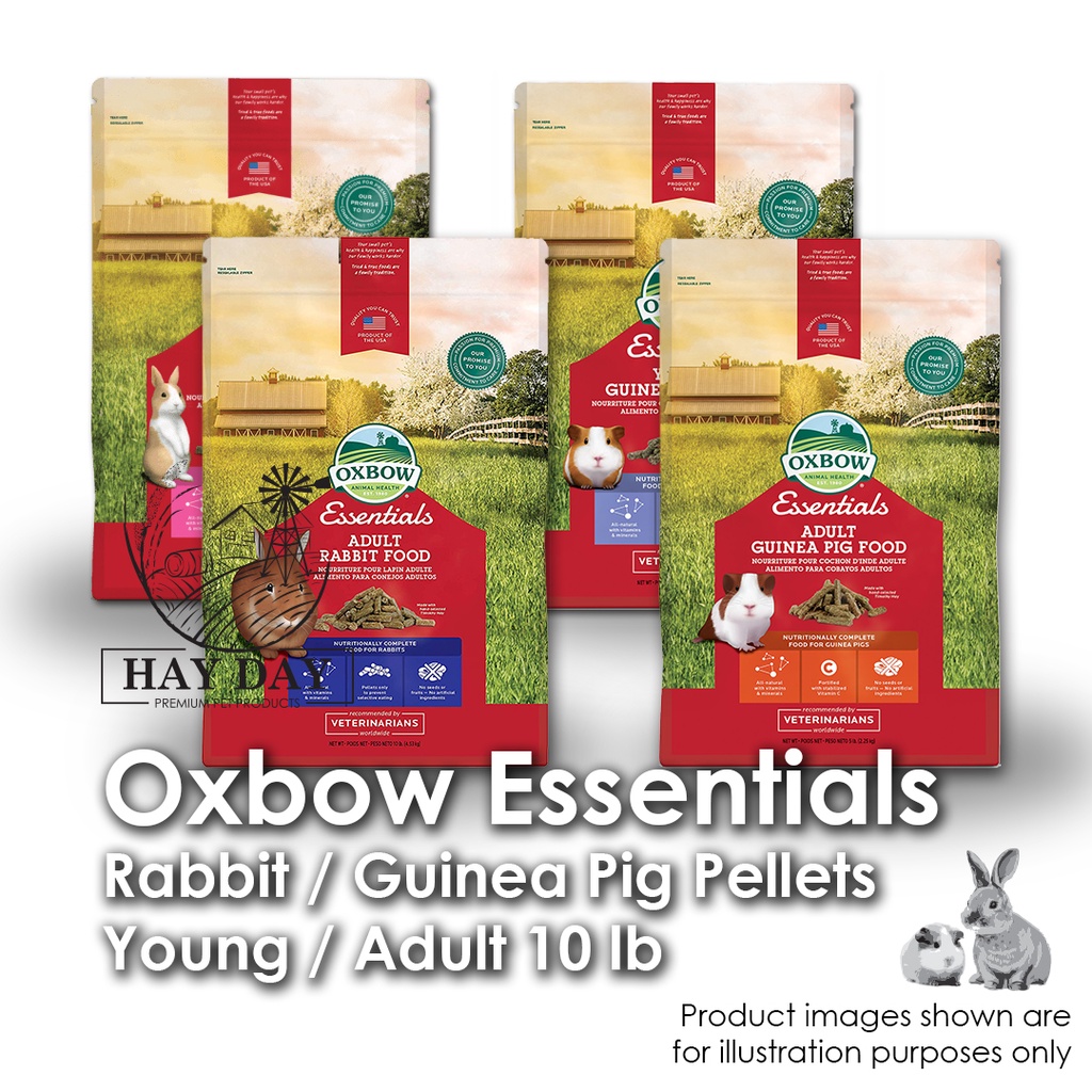 Oxbow essentials young guinea pig outlet food