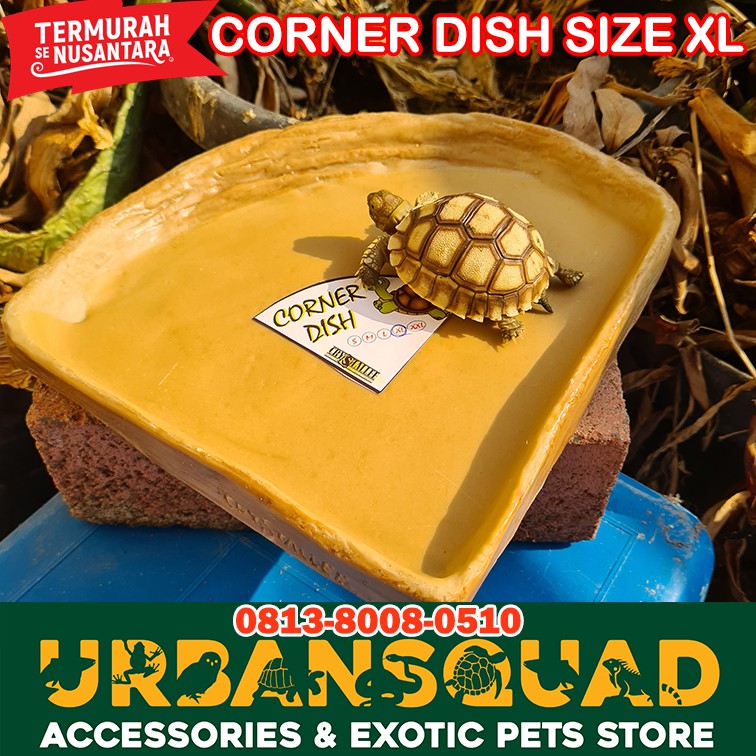 Corner DISH XL CRYSTALLEE Reptile SULCATA TORTO ALDABRA Shopee Malaysia