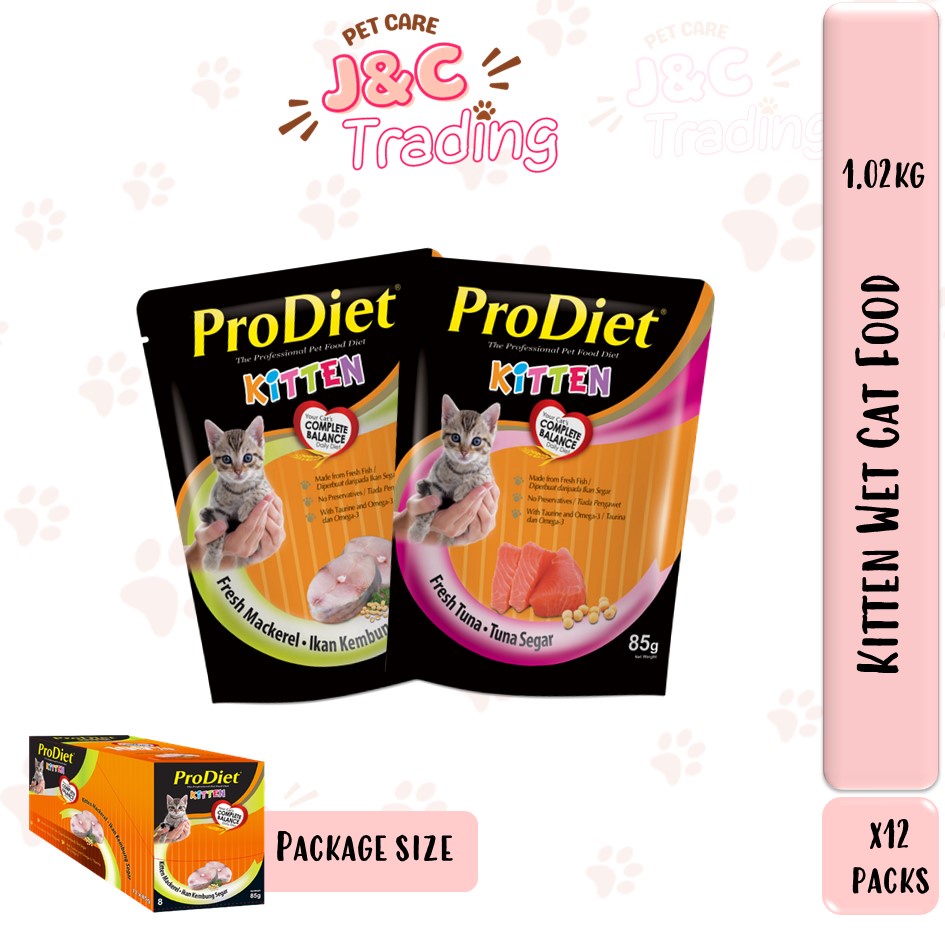 Prodiet kitten 2024