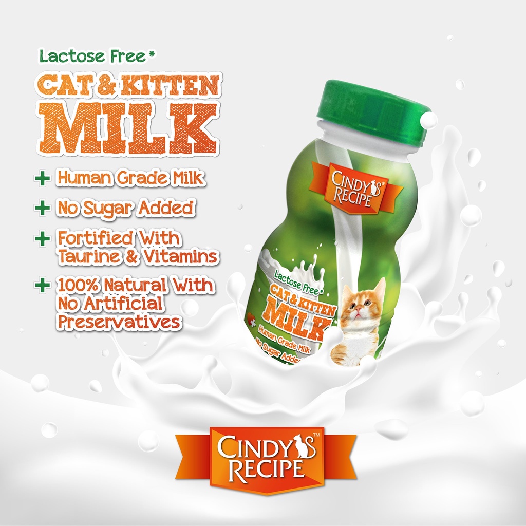 CINDY Recipe Cat & Kitten Milk/Susu (250ml) Shopee Malaysia