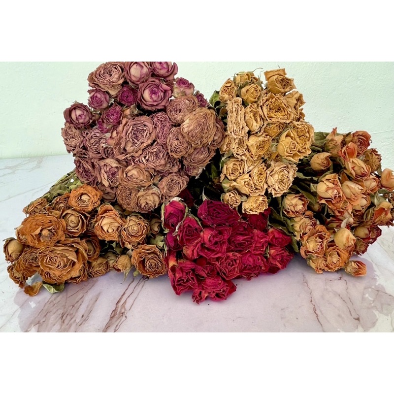 Multi Head Rose l Dried l Dry l Flower l Bouquet l Living l Home l ...