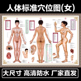 New household moxa shoulder and neck stickers Moxibustion fever