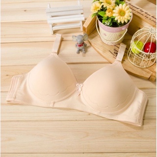 🔥Selling Lady's Bra Plan Non Wired B Cup Size 36-46