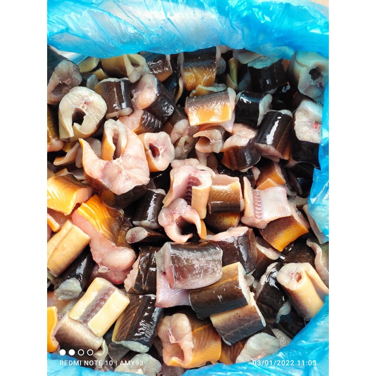 🔥🔥HOT SALE READY STOCK🔥🔥 BELUT FROZEN free box dan free ice 600g=1kg ...