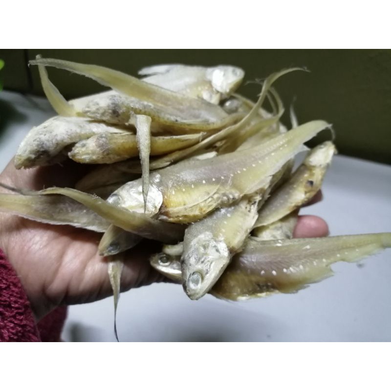 Ikan Masin Bulu Ayam / Segar / Bersih / Tak hancur Bila Goreng | Shopee ...