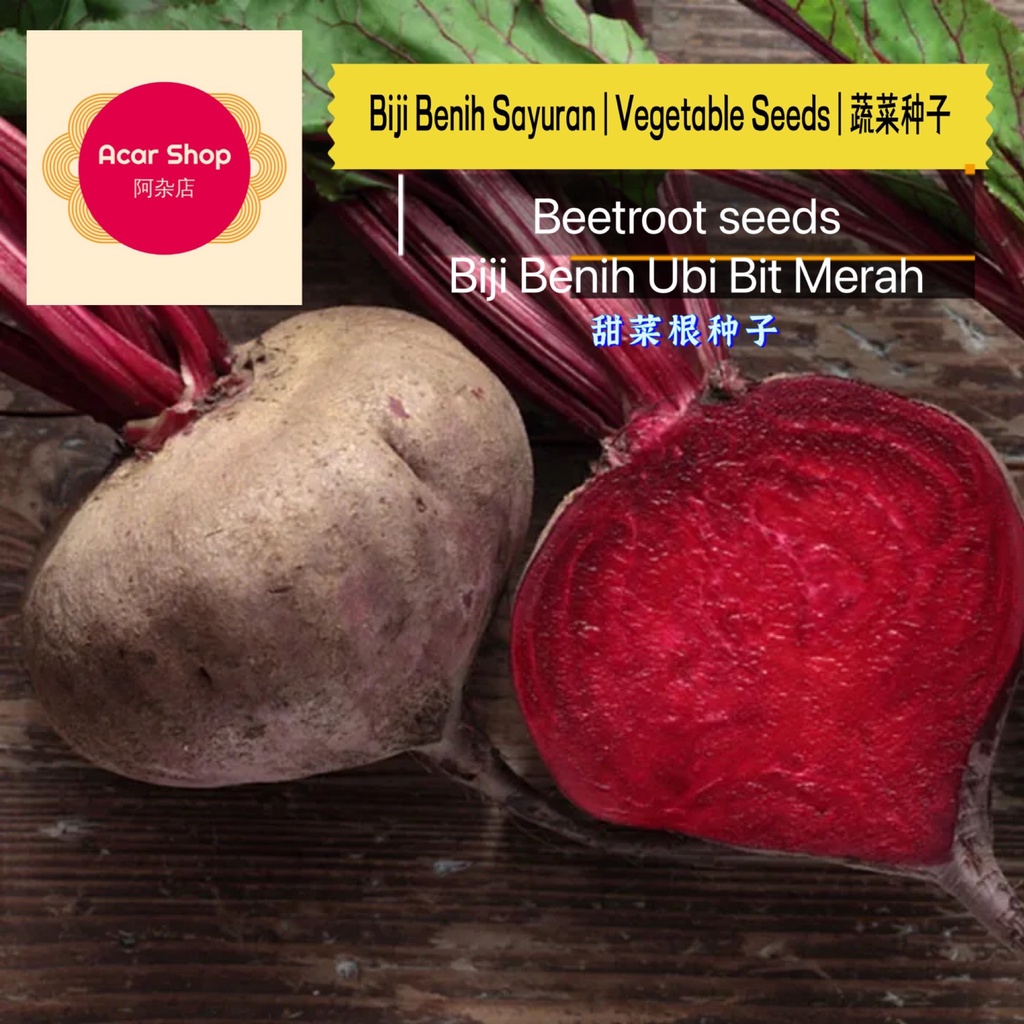 Beetroot seeds | Biji Benih Ubi Bit Merah | 甜菜根种子 Acar Shop | Shopee ...