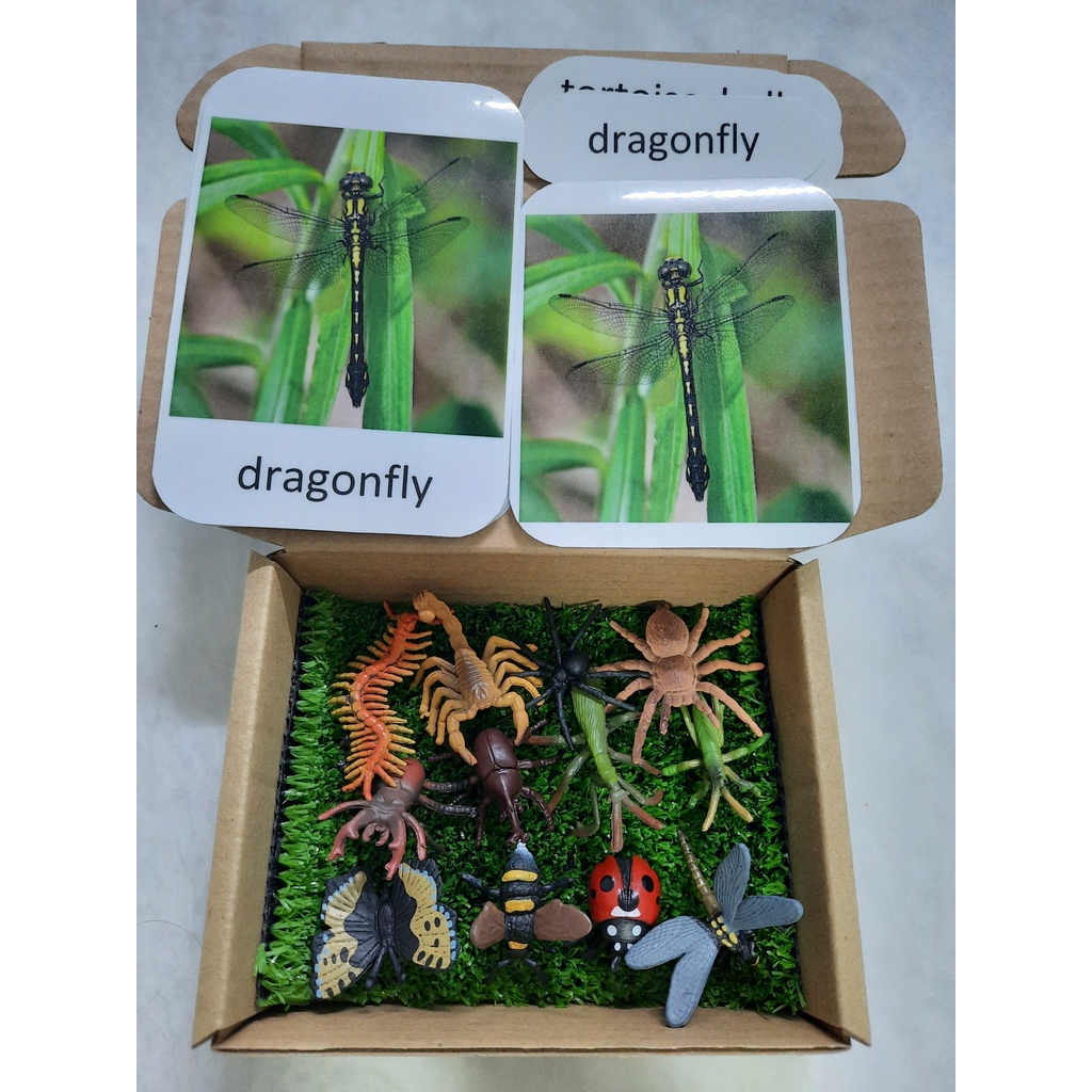 Insect Toy Realistic Insect Model Montessori Animal Match Miniature ...