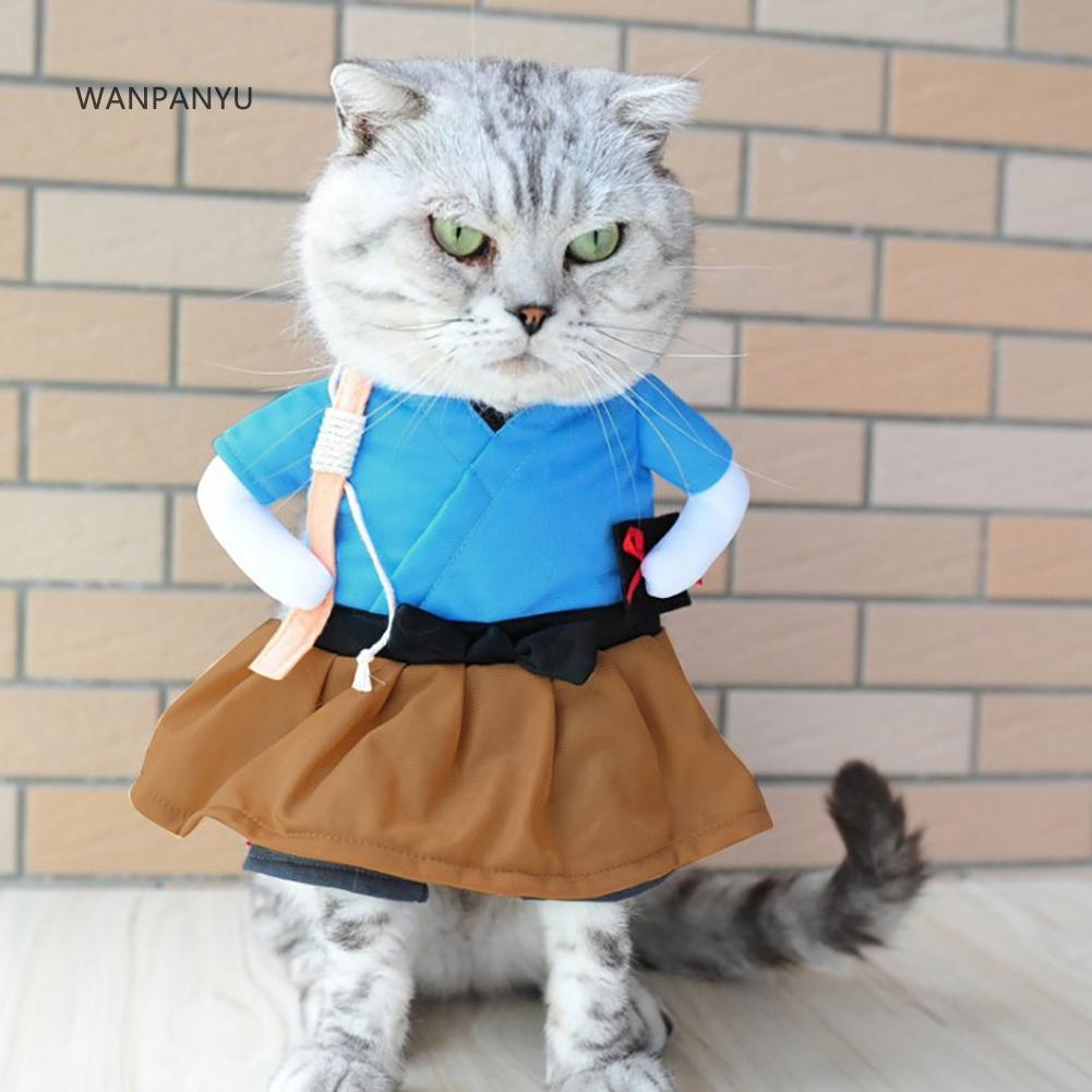 Funny cat outfit best sale