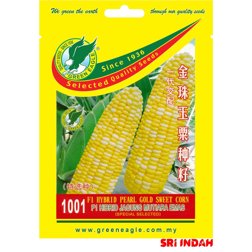 Seeds 1001 F1 Hybrid Pearl Gold Sweet Corn Bibit Jagung Mutiara Emas ...