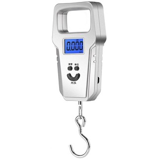 50kg Portable Electronic Digital Scale With Hook,Hanging Scale