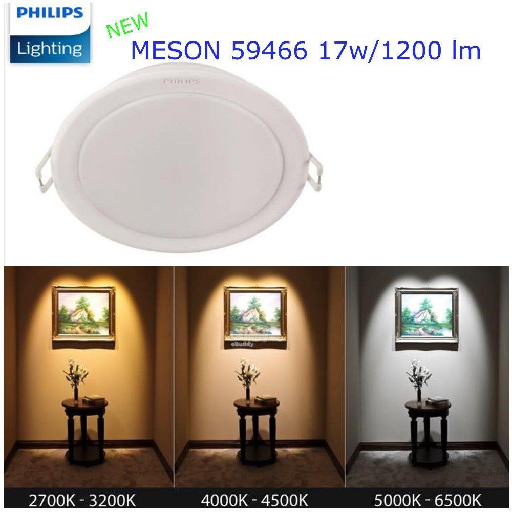 Philips on sale downlight meson