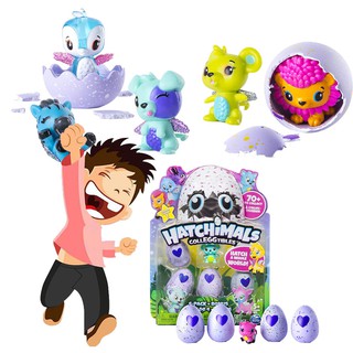 Hatchimals Water Hatch Family Surprise Asst - WHB Malaysia