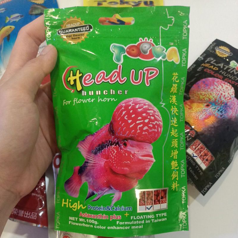 Makanan Ikan Naik Warna Topka Tokyu Flowerhorn Head Up Cichlid Red