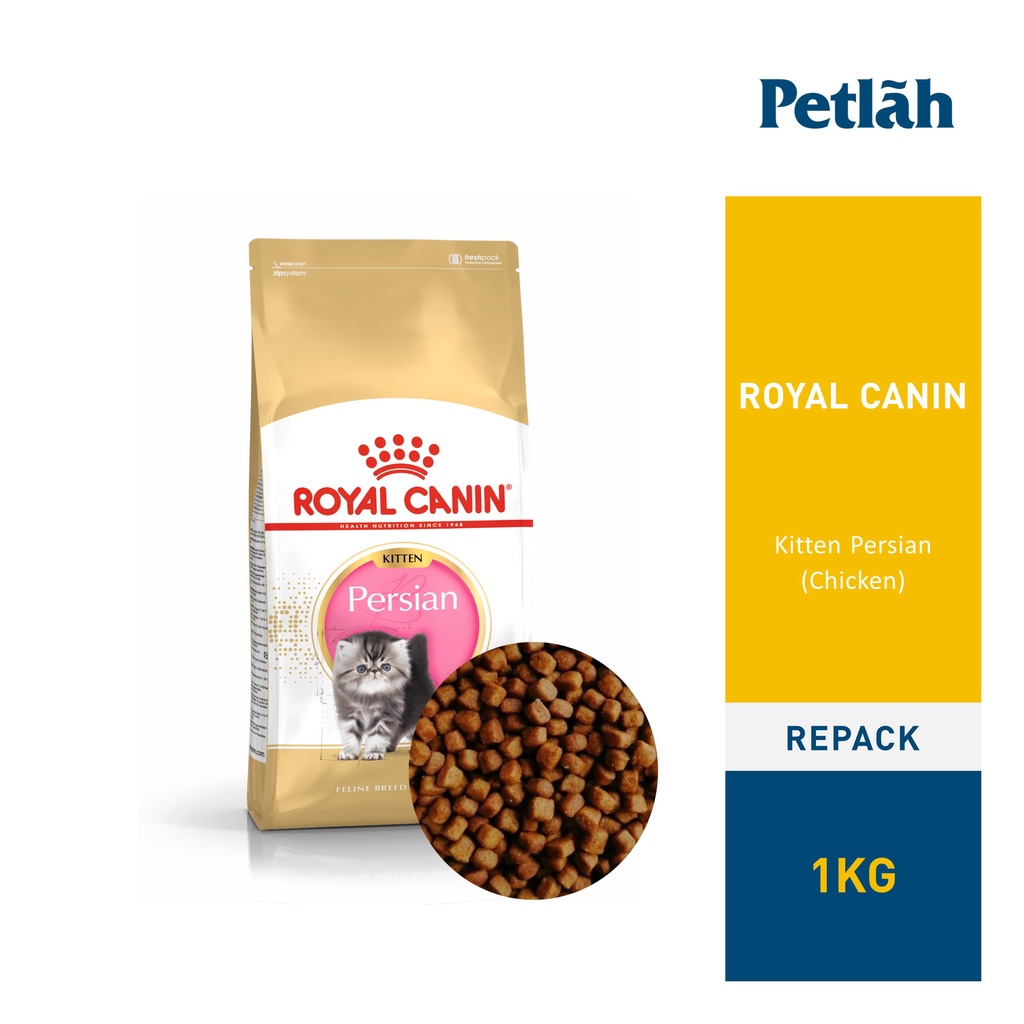 [EXP DATE: AUGUST 2025] Royal Canin Kitten Persian 1kg (Repack ...