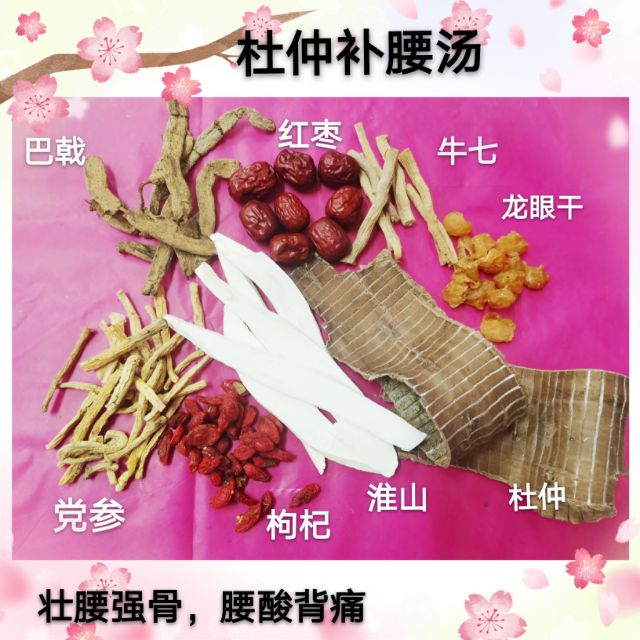 杜仲补腰汤/4-5人份 强壮筋骨，腰酸背痛，足膝酸痛 | Shopee Malaysia
