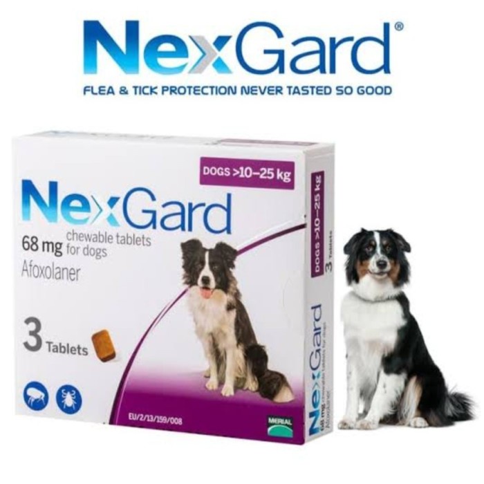 Nexgard L Dog 10-25 Kg Medicine To Eat Demodex Caplak Chew | Shopee ...